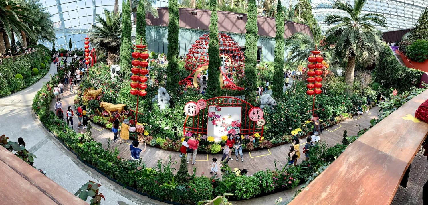 2025春晚小品笑点大揭秘：《借伞》和《金龟婿》谁更胜一筹？