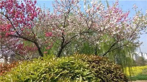 描写春夏秋冬四季的古诗名篇
