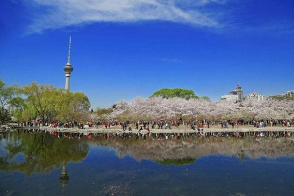 北京玉渊潭公园门票价格及开放时间-樱花什么时候开