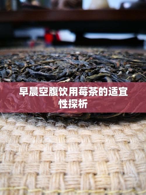 早晨空腹饮用莓茶的适宜性探析