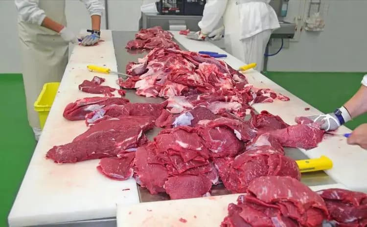 过年买牛肉，懂行人专挑这5块肉，店家：专业，不是厨师就是行家