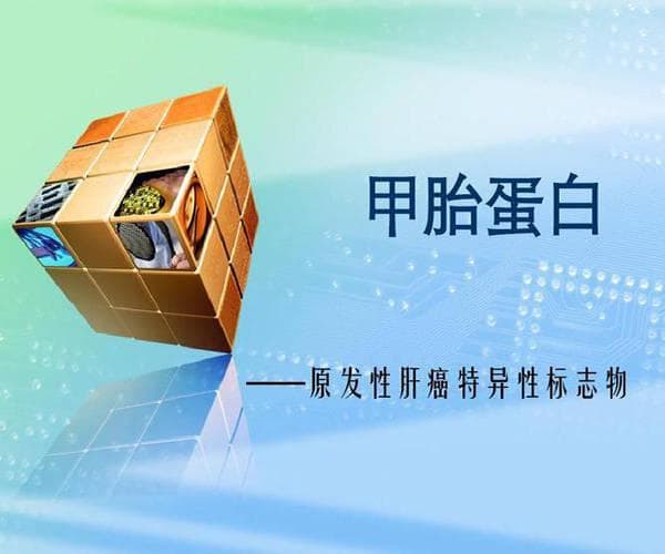 甲胎蛋白是什么？这种蛋白与肝癌的关系你了解多少？