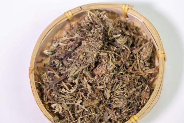 蒲公英加什么清热祛湿？蒲公英的注意事项