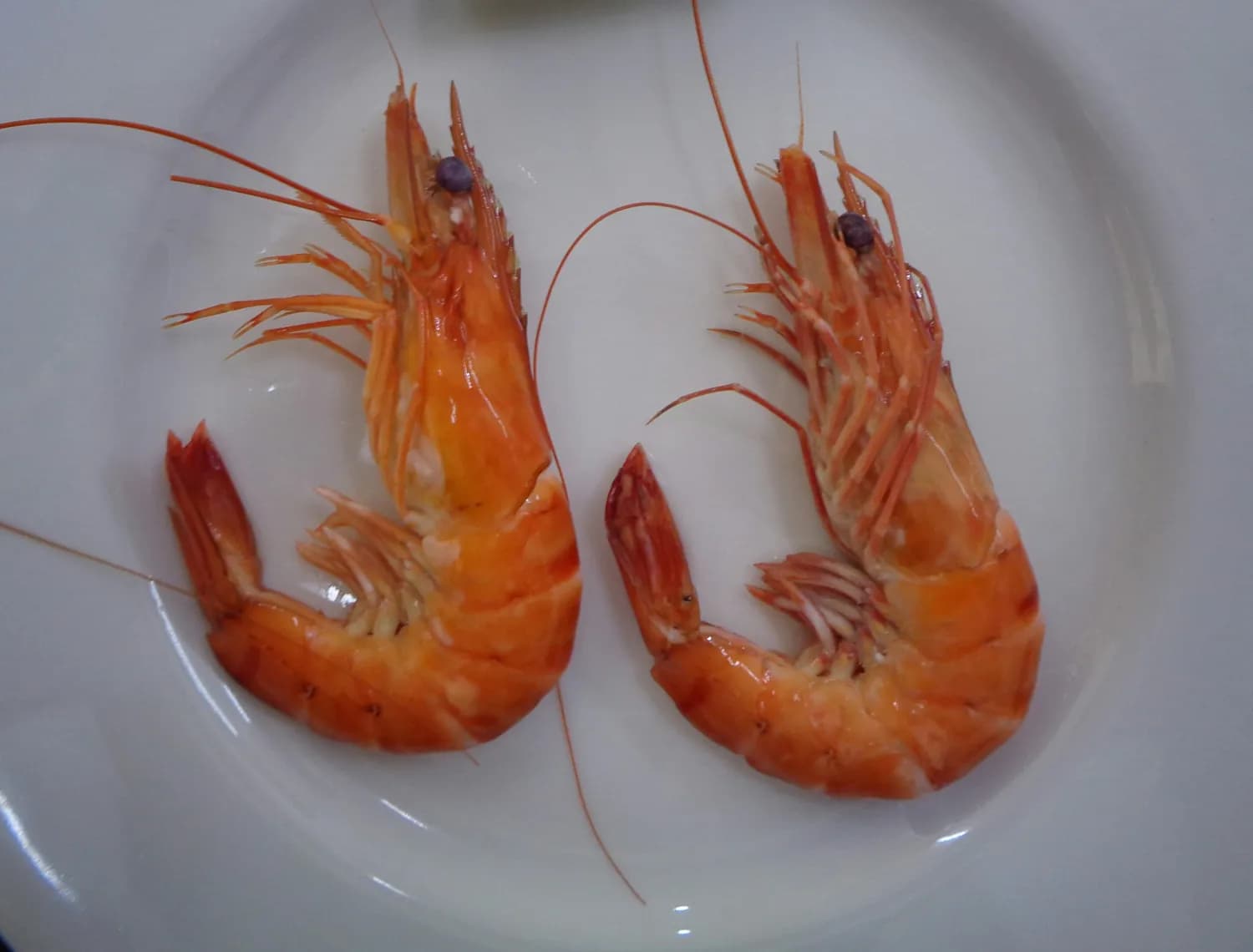 煮大虾冷水还是沸水？你做对了吗？