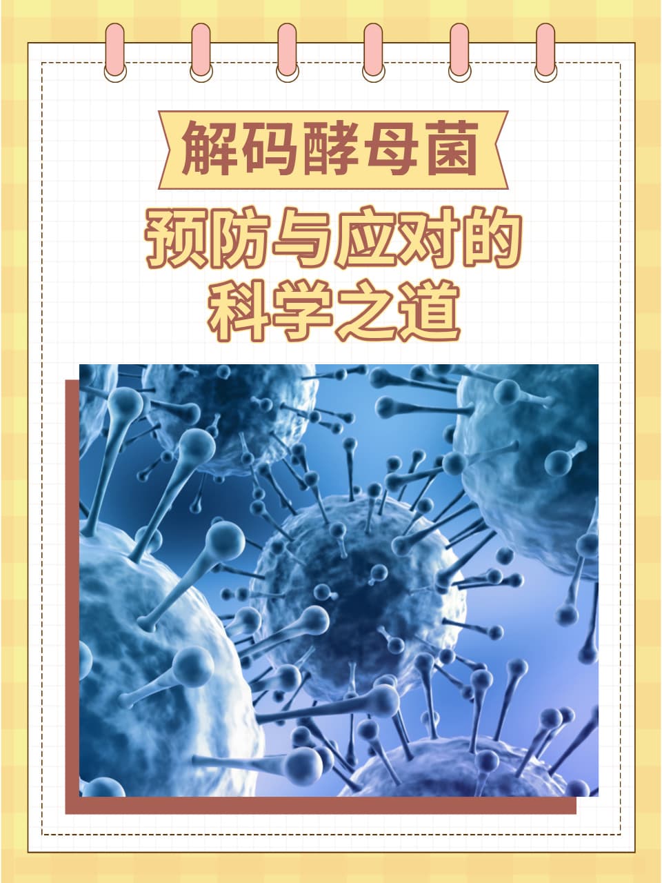 解码酵母菌：预防与应对的科学之道
