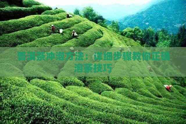 普洱茶养生