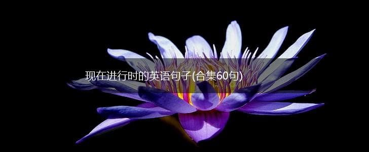 现在进行时的英语句子合集（60句）