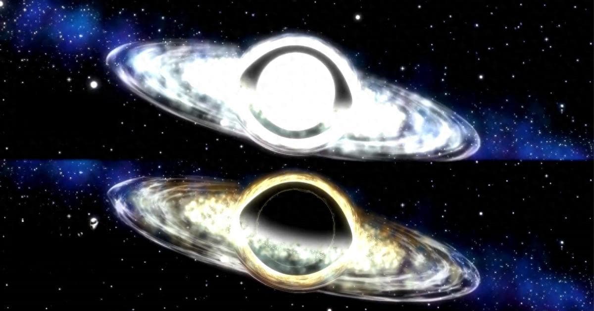宇宙中有黑洞和白洞，黑洞已被证实普遍存在，白洞却毫无痕迹