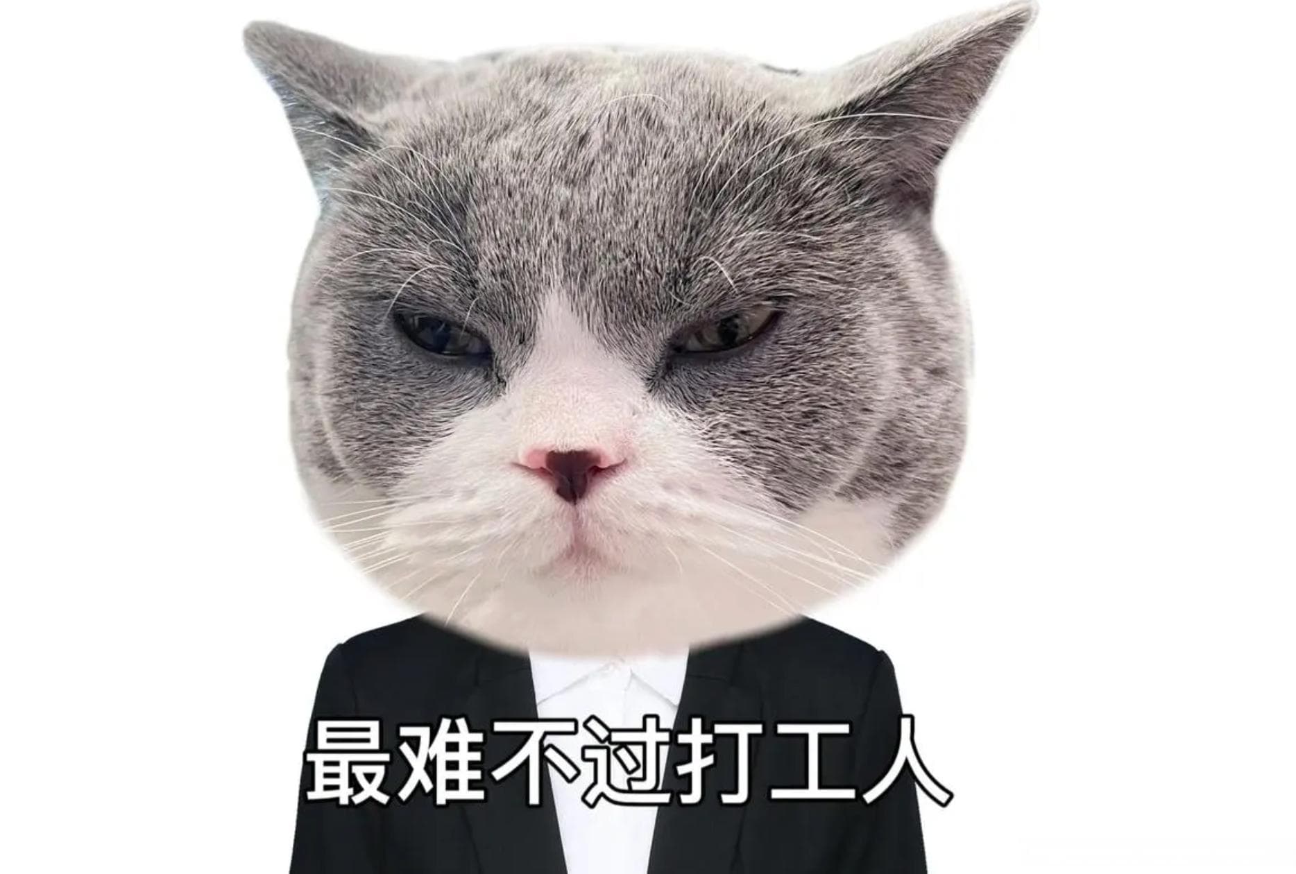 程序员35岁丢了工作，应该怎么活？