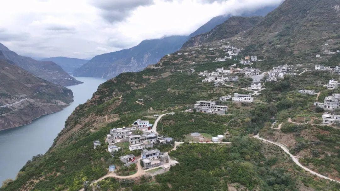 云南务基：合作社抱团发展“橙”就致富路