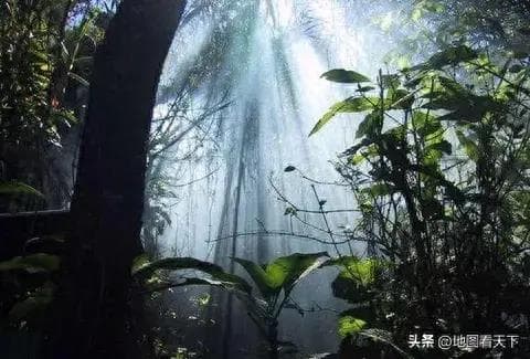世界自然遗产——斯里兰卡辛哈拉加森林保护区