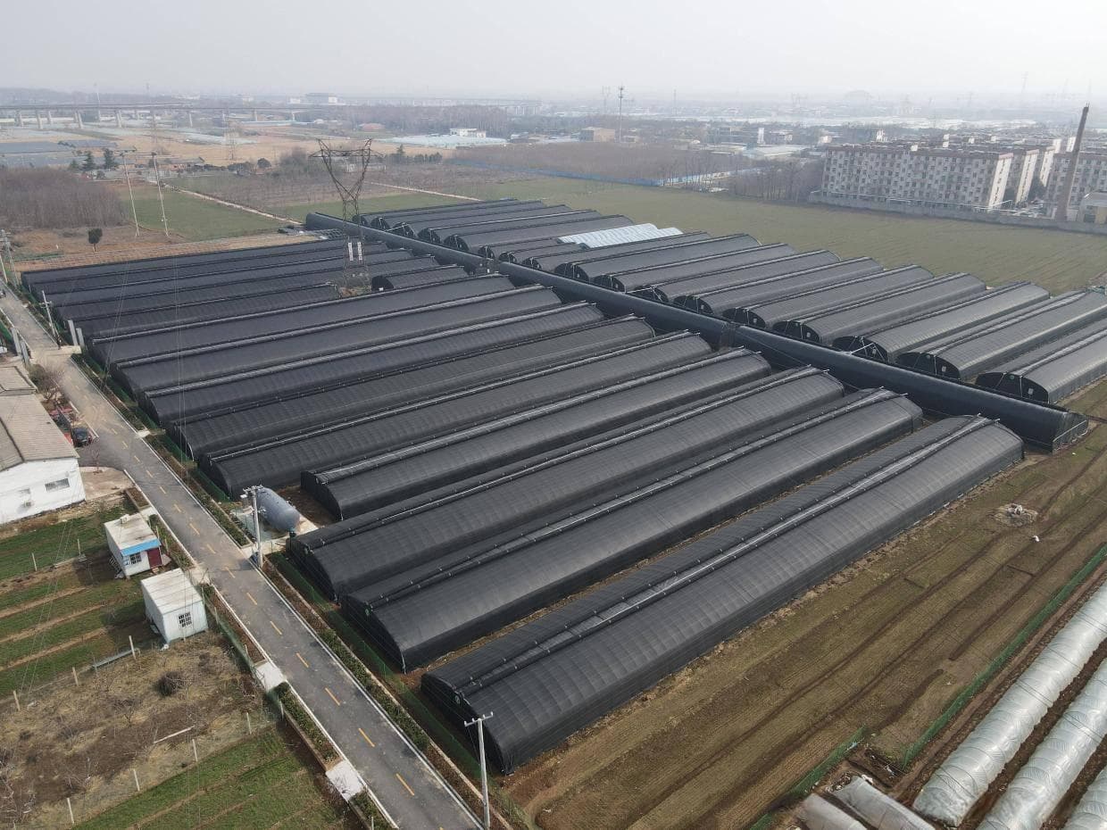 建造温室大棚如何选择保温棉被？