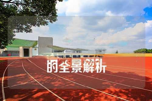 打羽毛球的七大好处：从心肺到社交全方位提升