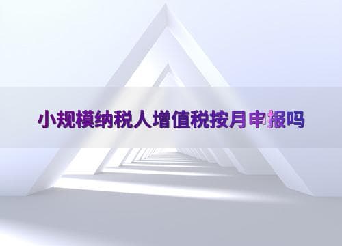 小规模纳税人增值税按月申报吗