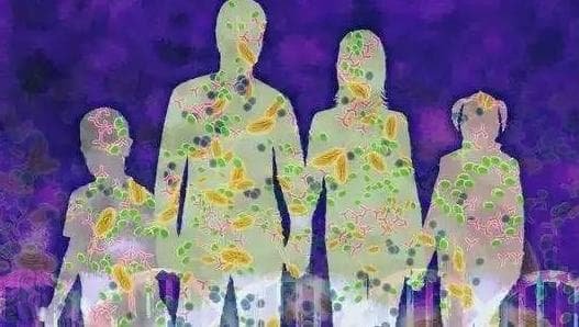 人类与微生物的和谐共生之道，地球生存的核心就是三物循环——动物-植物-微生物