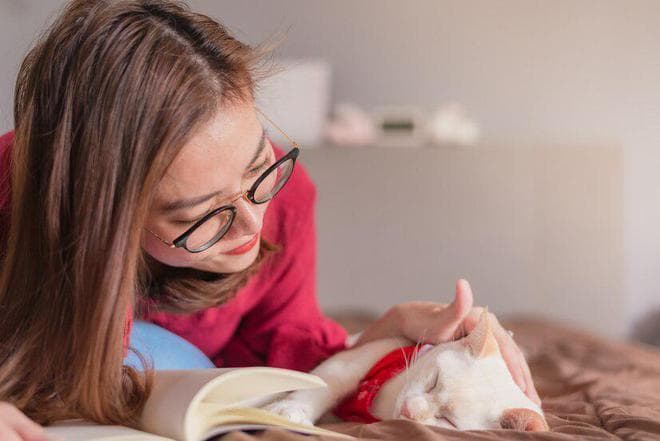 猫咪泪痕要怎么清理？猫咪泪痕清理小妙招