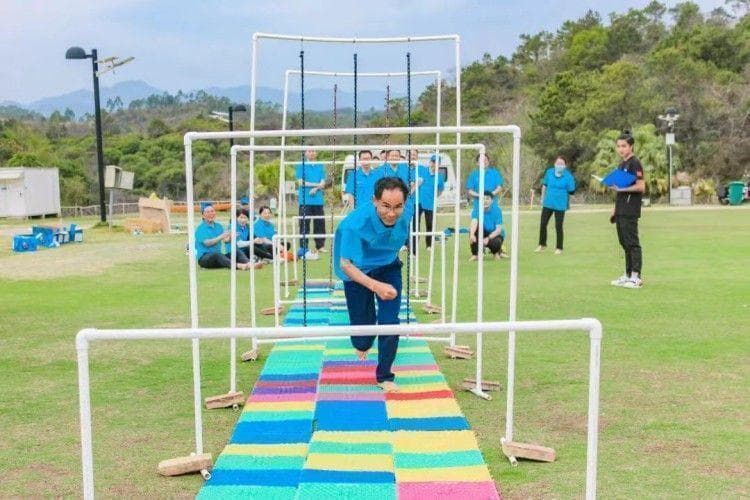 指压板拓展训练：团队协作与趣味运动的完美结合
