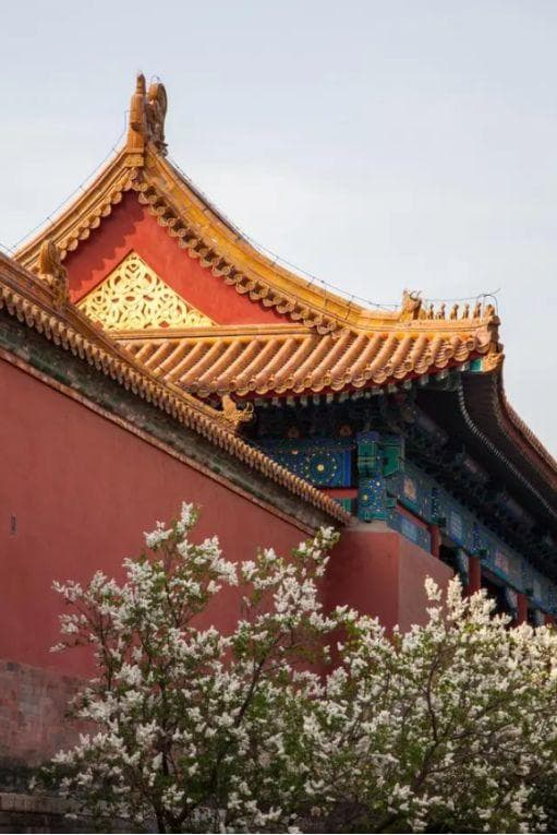 中国最受欢迎的十大景点，去过3个都算的上旅游达人，你去过几个