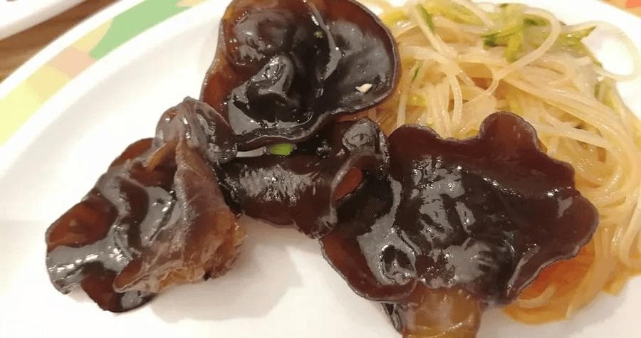 长期素食于健康有害