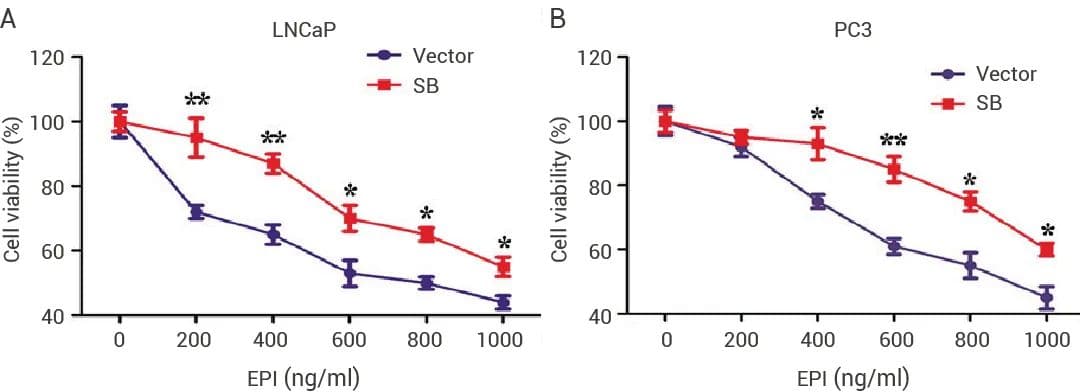 生物素化蛋白质：制备策略、特性及其在生物医学研究中的应用探索