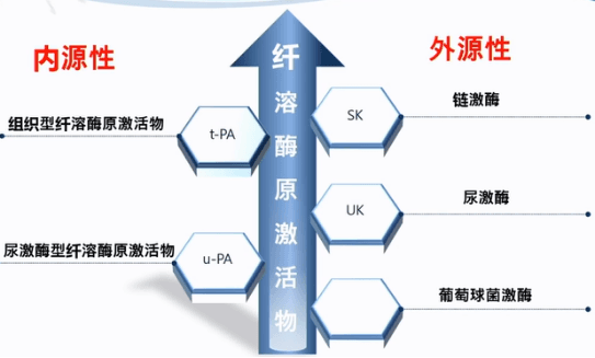 俞卫锋教授：凝血机制监测与止血药物应用