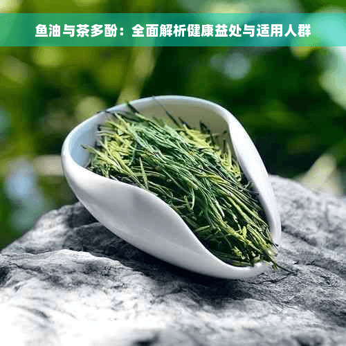 鱼油与茶多酚：全面解析健康益处与适用人群