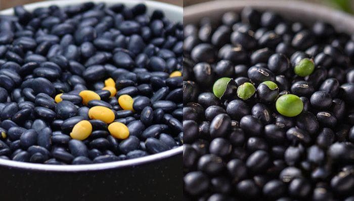 黑豆丨黄芯与绿芯的营养成分差异及其作用功效