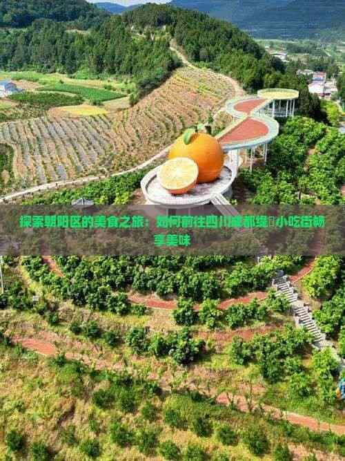 探索朝阳区的美食之旅：如何前往四川成都缇庨小吃街畅享美味
