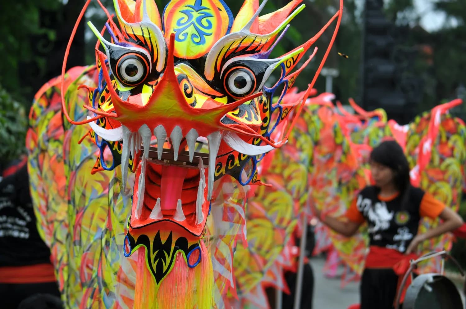 麦玲玲苏民峰详解2024龙年十二生肖运势：你的本命年如何破局