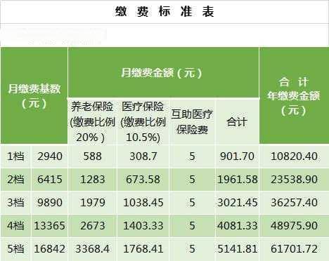 医疗保险几个档位（医疗保险几个档位怎么查）
