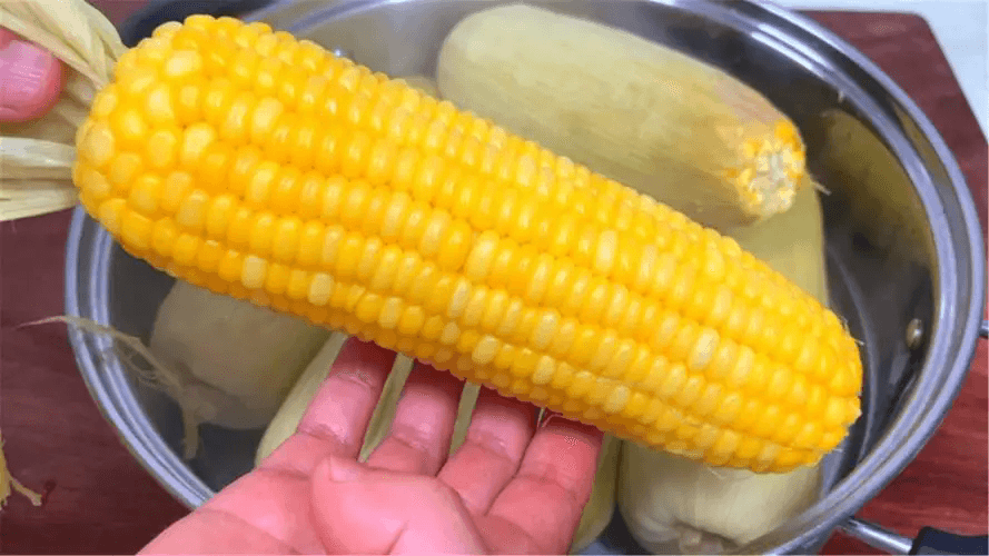 玉米煮多久才好吃？一篇文章解决你的所有疑惑！