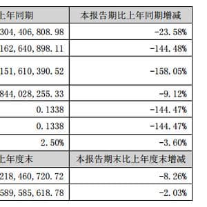 中科三环：稀土原材料下跌、市场竞争加剧等 上半年净利亏损7233.77万元