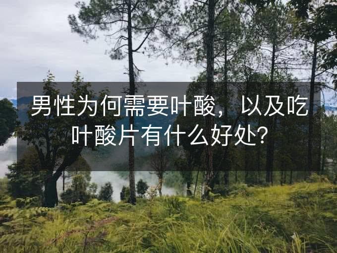男性为何需要叶酸，以及吃叶酸片有什么好处？