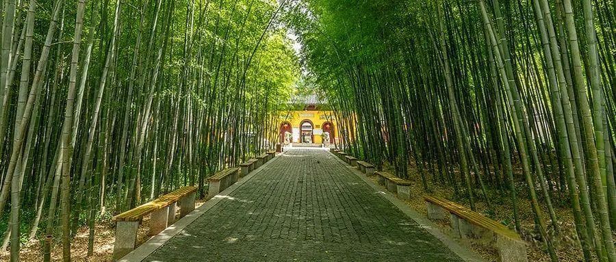 抢滩“暑期经济”，避暑游消费潜力仍未完全释放