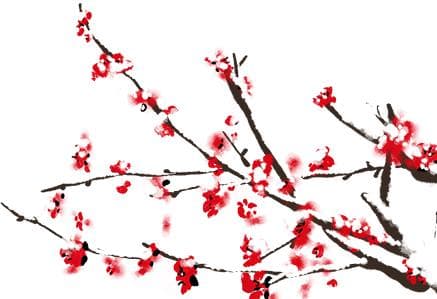 白鹤时鸣•法说红楼⑤丨法说贾宝玉婚姻