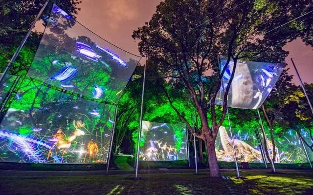 文旅夜游项目的成功案例分析——成都锦江夜游