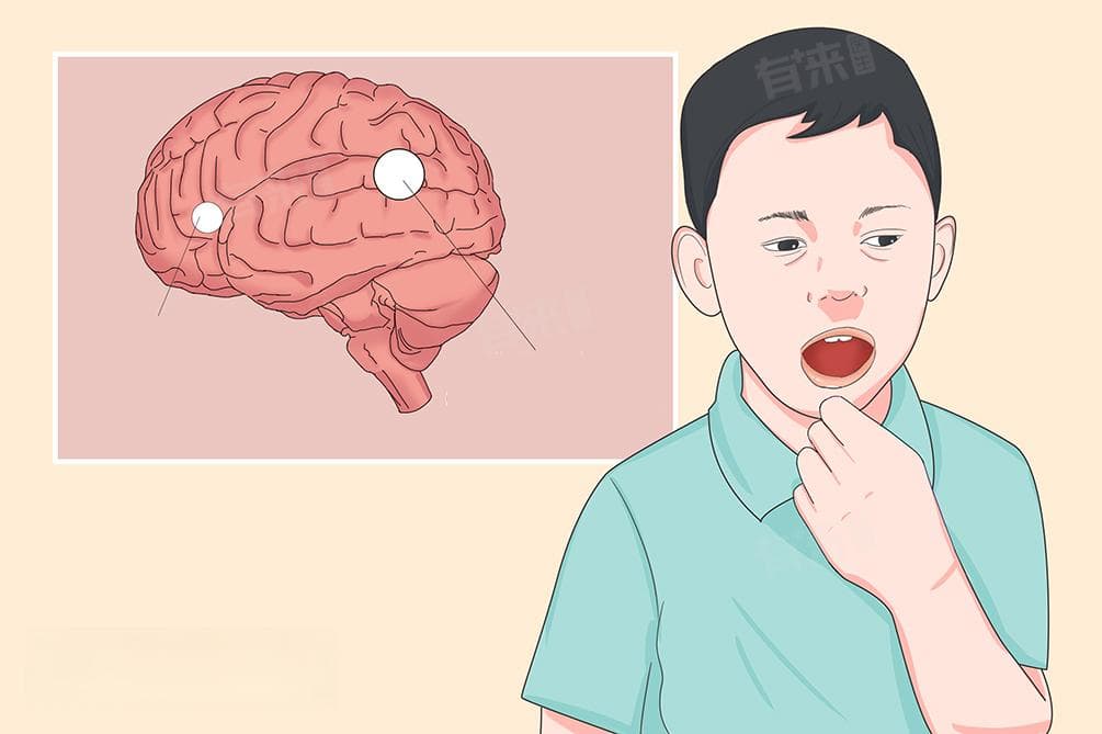 左脑控制什么功能