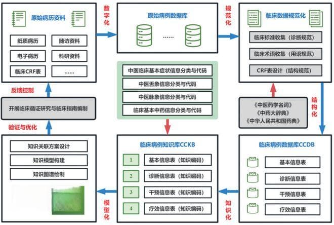 大数据赋能中医：真实世界中医临床研究的新篇章