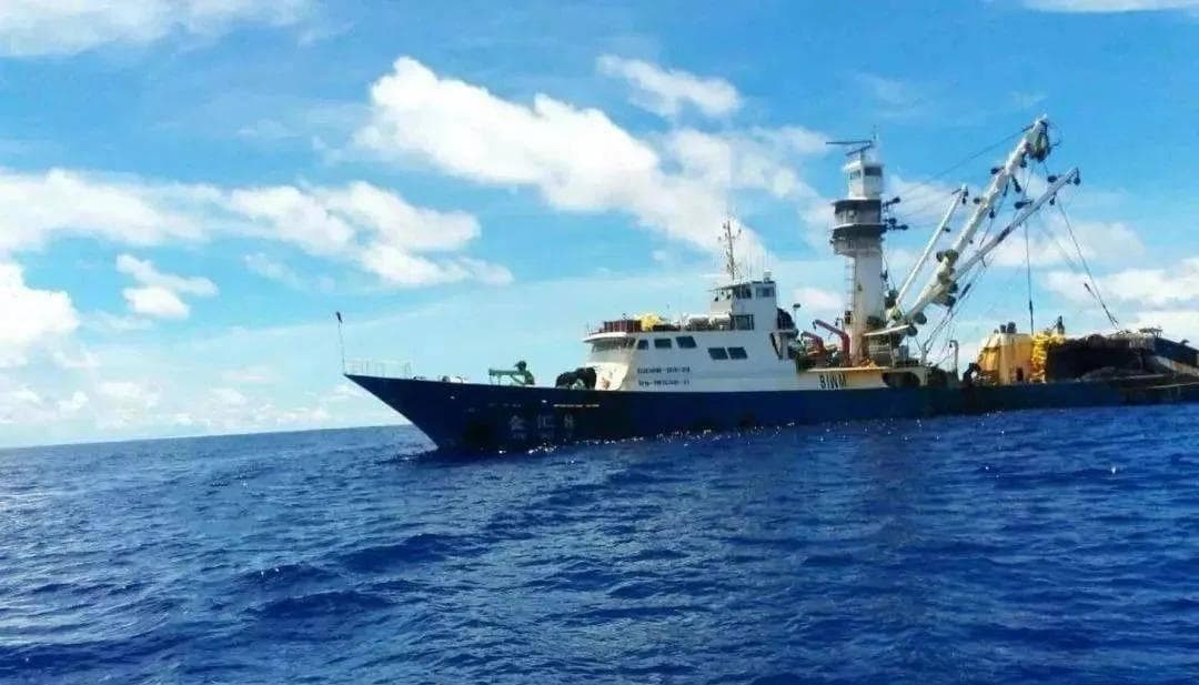解锁磷虾油：从产地捕捞到健康效益的深度剖析