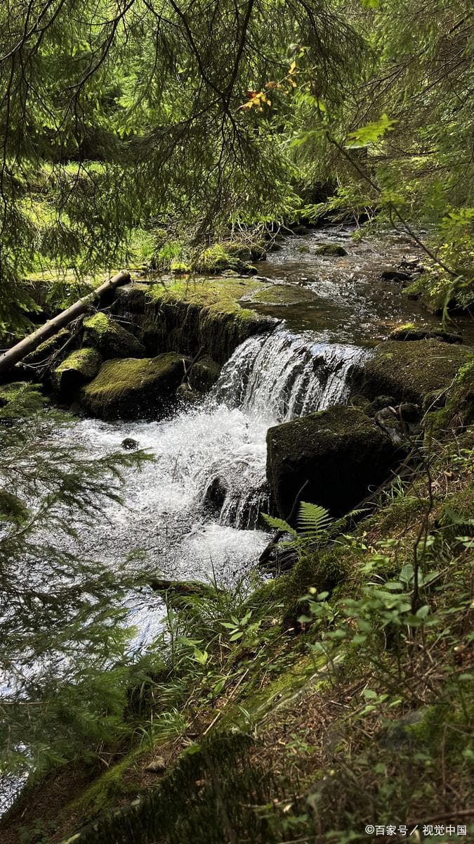 绍兴昂桑湖景区探秘：入冬3日游，邂逅水墨画般的美景