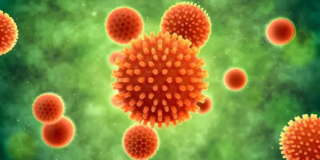 广西医科大学团队发现新型肝癌治疗药物：美妥珠单抗-DM1