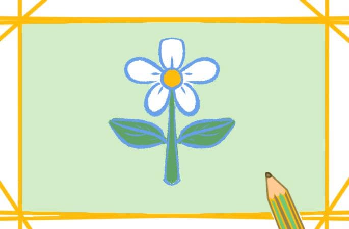 简易小白花上色简笔画步骤详解