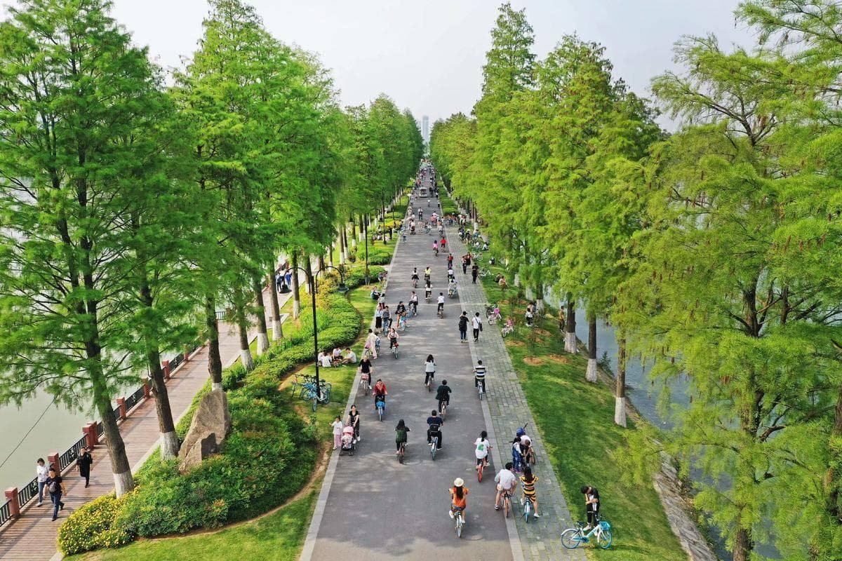 武汉东湖绿道：城市中心的绿色“幸福圆”