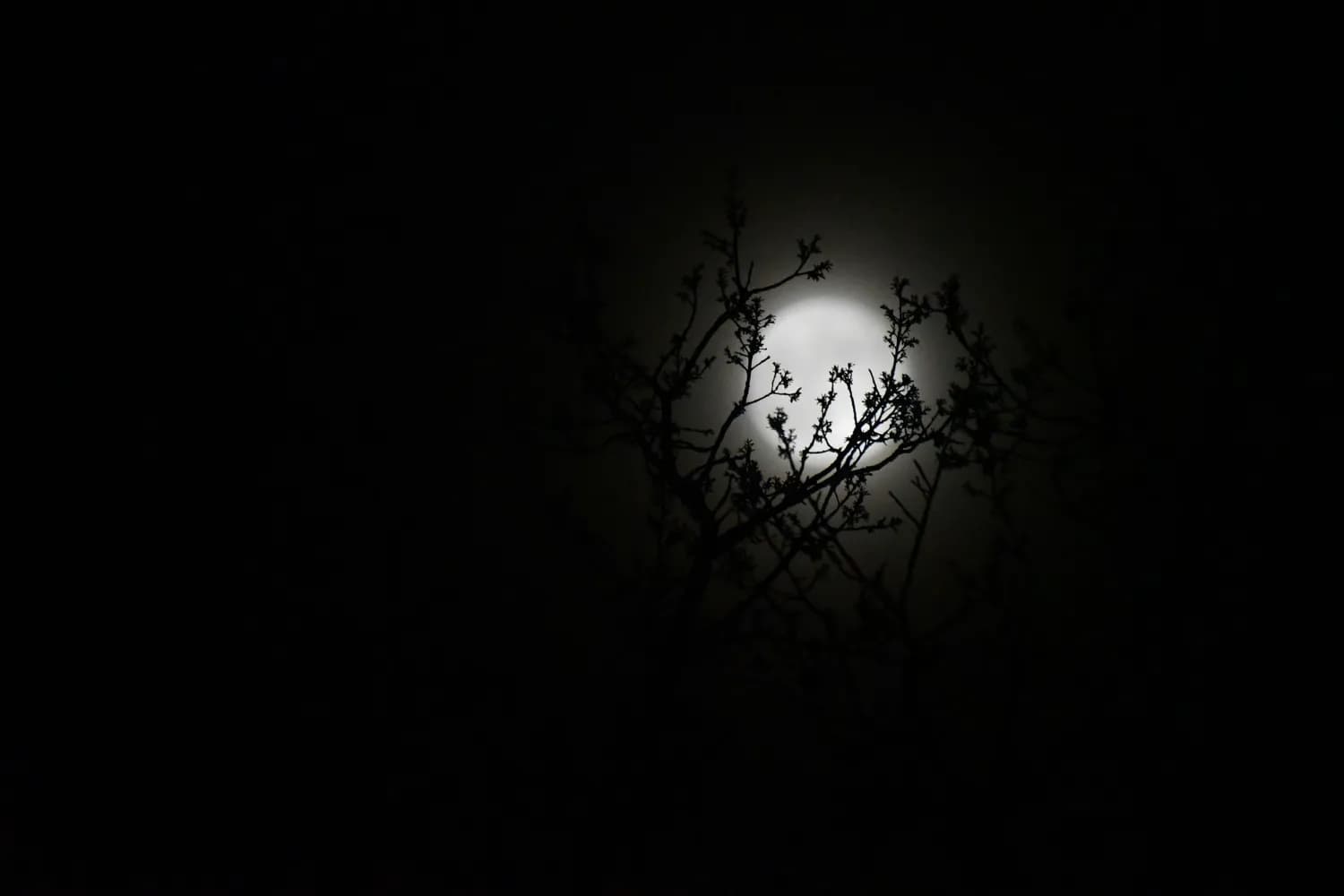《蛋仔派对》惊魂夜彩蛋揭秘，逃生之旅再掀热潮