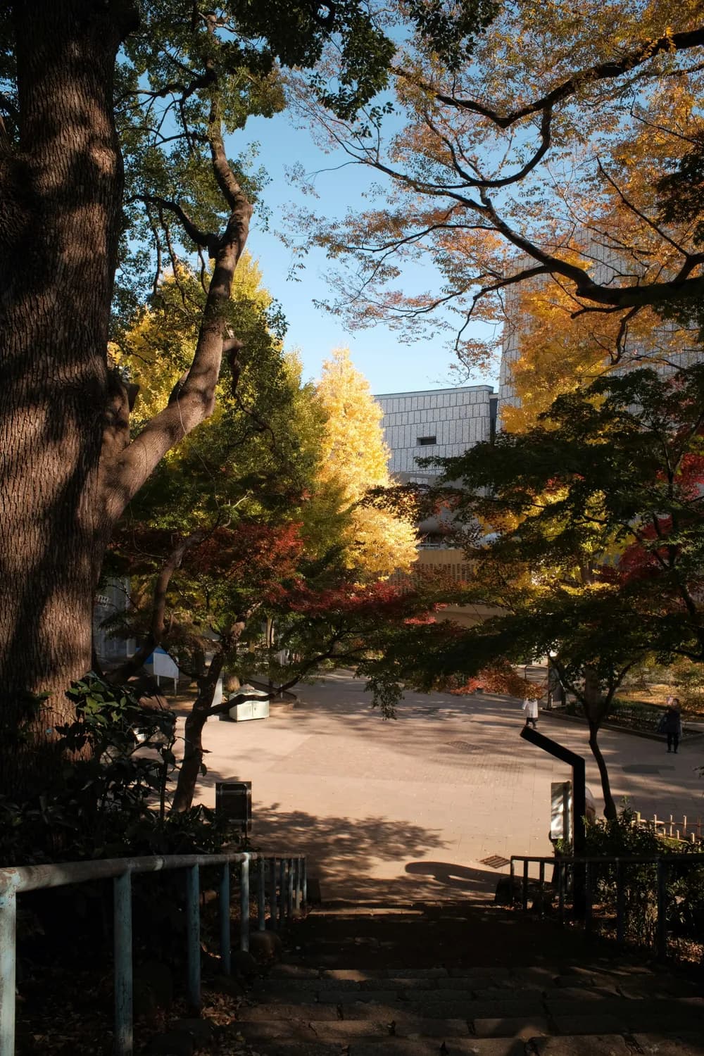 东京大学工程学科申请全攻略：从条件到流程，一文详解