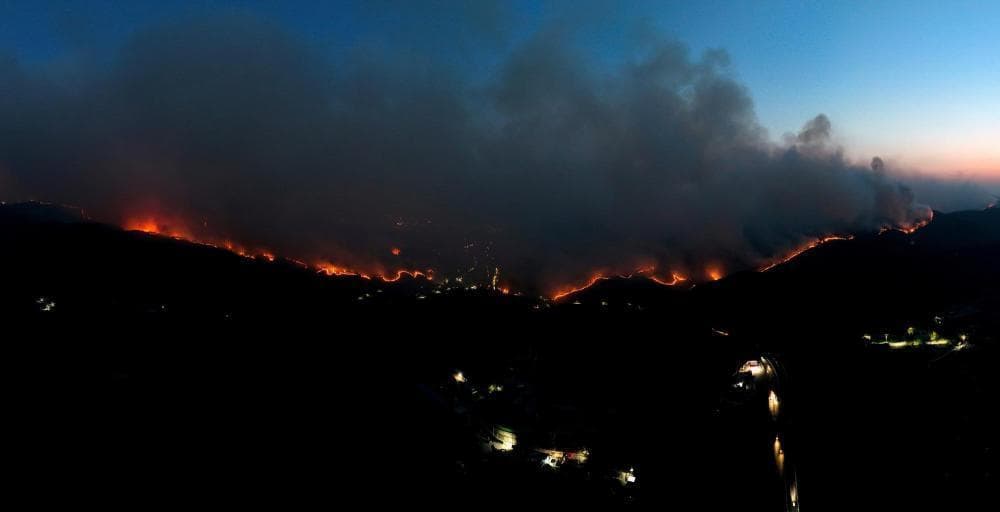 韩国山火致4人死亡，多地进入“灾难状态”
