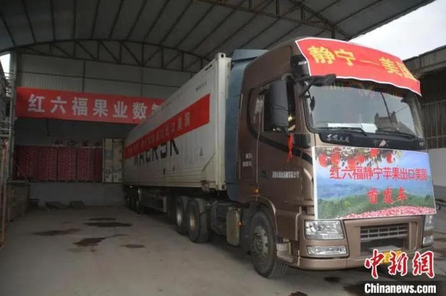 “甘味”农产品头号代表“静宁苹果”首次出口美国