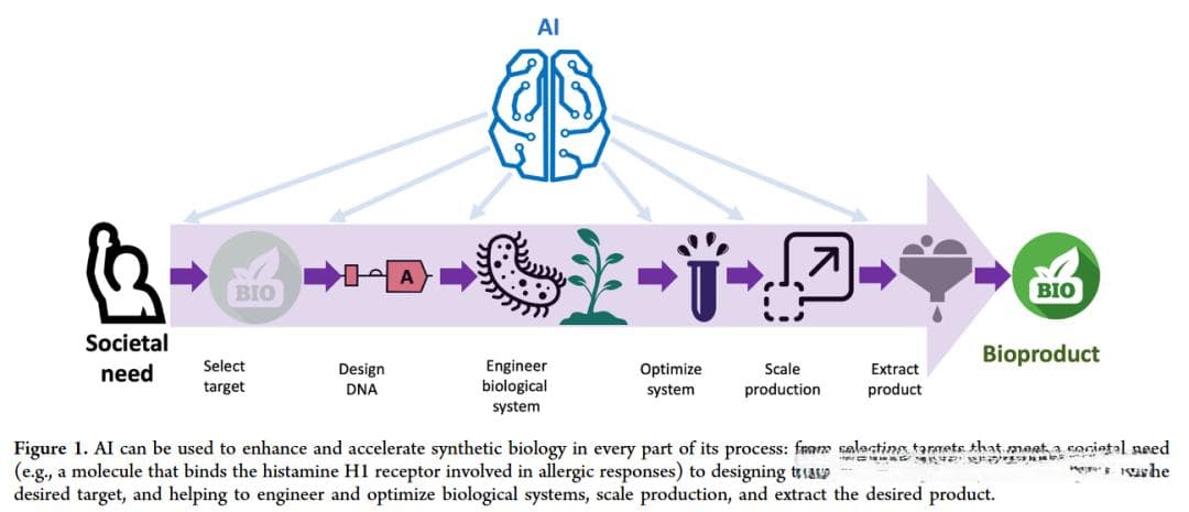 人工智能与合成生物学的完美结合：一场颠覆性的科技革命