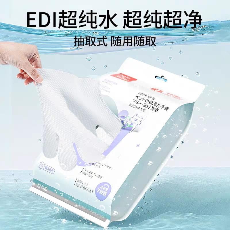 养猫必读：从身体到环境的全方位卫生清洁指南