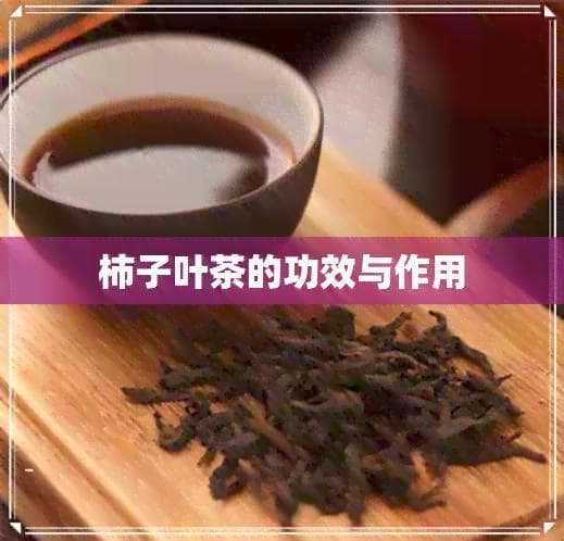 柿子叶茶的功效与作用：从传统医学到现代研究的全面解析